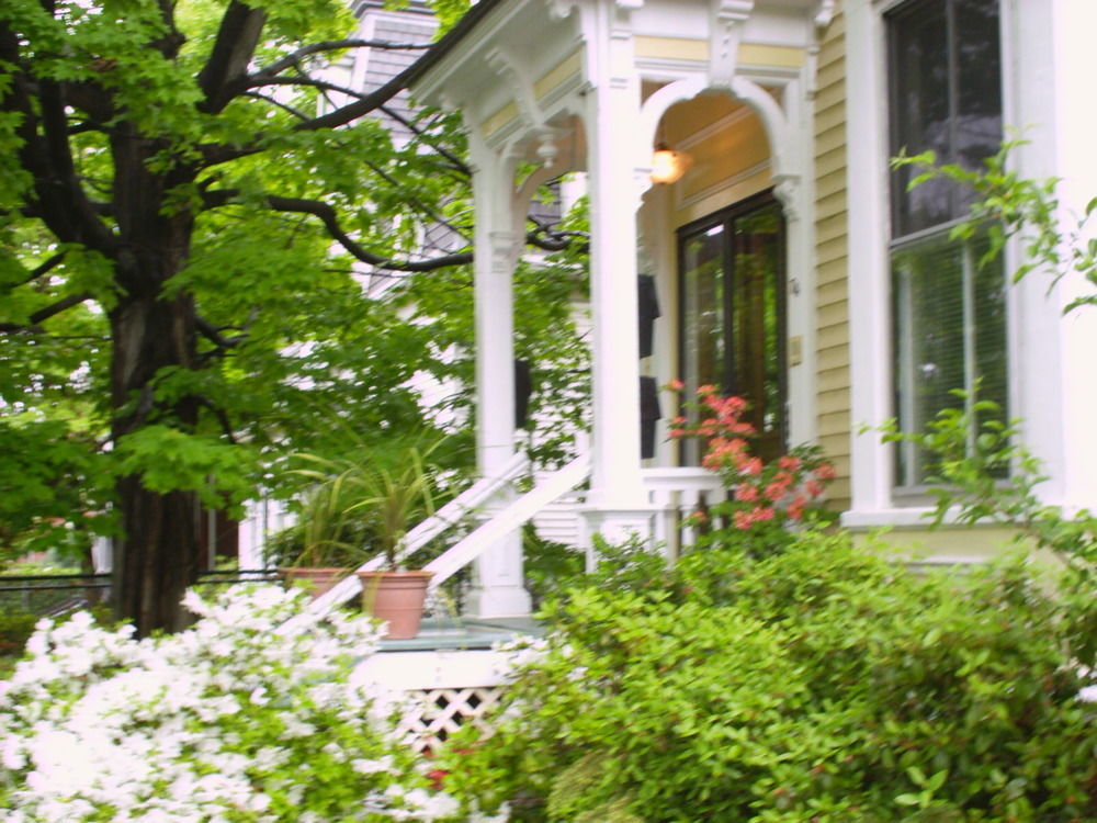 Parkside On Ellery Hotel Cambridge Bagian luar foto