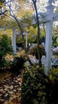 Parkside On Ellery Hotel Cambridge Bagian luar foto